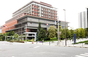 日本昭和大学江东丰洲病院