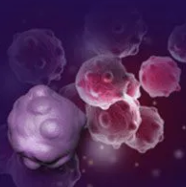 FDA 批准 Pembrolizumab 辅助治疗非小细胞肺癌