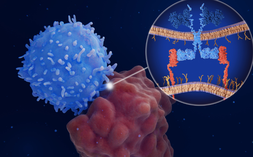 身体内部的杀手：CAR-T细胞治疗如何攻克癌症？