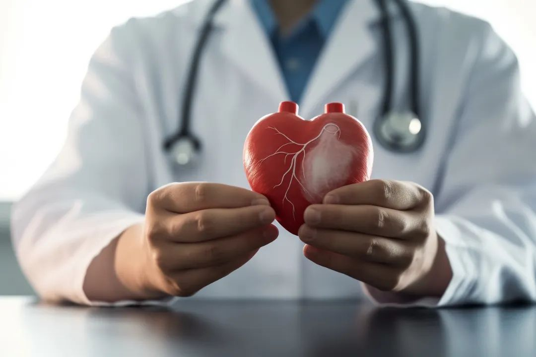 心脏健康的未来光芒：ELCA在冠脉疾病治疗中的革命
