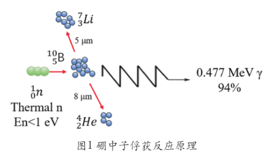 精准"爆破"癌细胞 -硼中子俘获疗法(BNCT) ，一种新型放射性治疗癌症的方法！