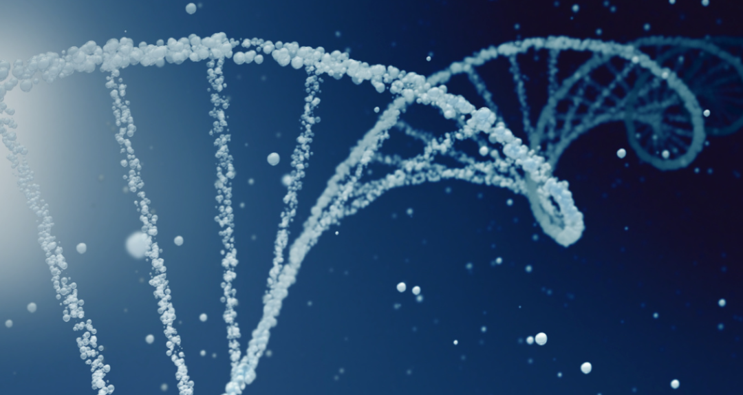 一文读懂：DNA和RNA测序技术在癌症诊断中的重要作用！！