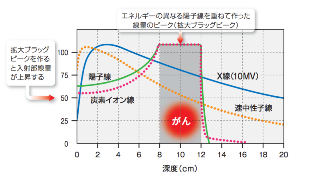 “硼中子俘获疗法”权威治疗中心 || 日本关西BNCT联合医疗中心