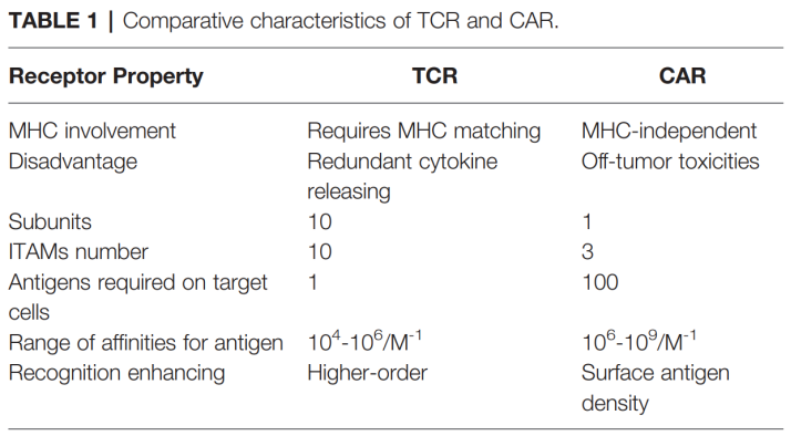 TCR-T疗法的突破：实体肿瘤的治疗革命，临床应用与研究进展全解析
