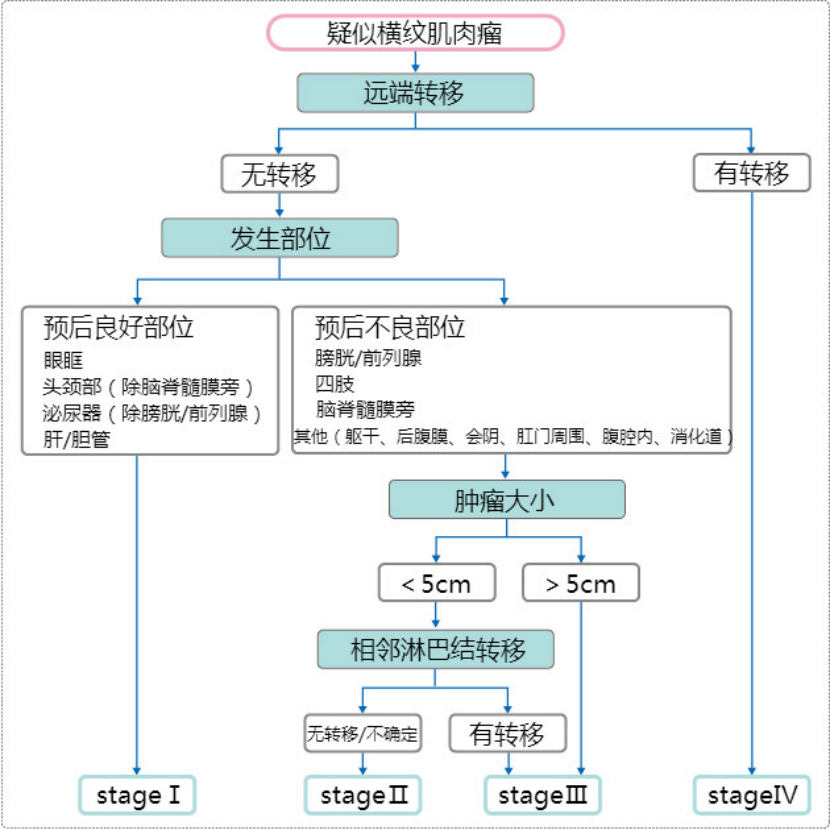 一篇读懂，什么是横纹肌肉瘤。