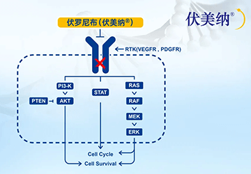 Vorolanib 伏罗尼布 伏美纳