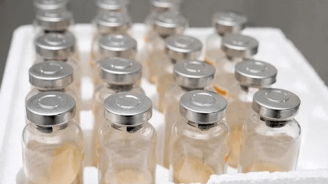 GVAX疫苗加低剂量环磷酰胺