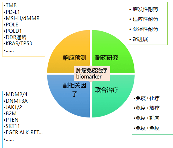 肿瘤治疗-可愈有道