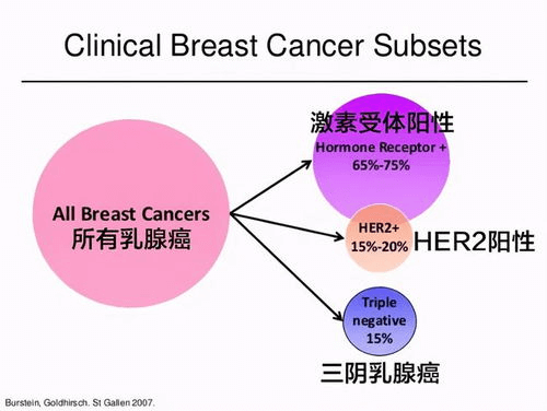 乳腺癌-可愈有道