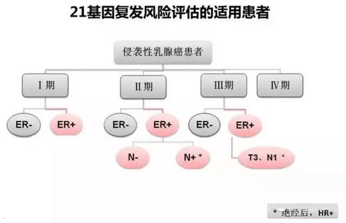 乳腺癌-可愈有道