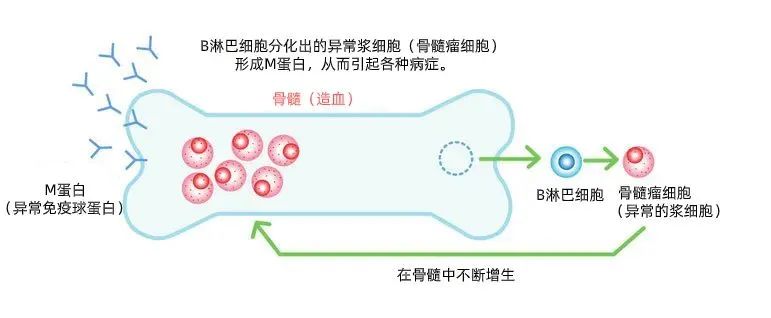 萩原将太郎