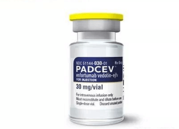 晚期尿路上皮癌患者去化疗方案！Padcev+Keytruda联合疗法获益-可愈有道