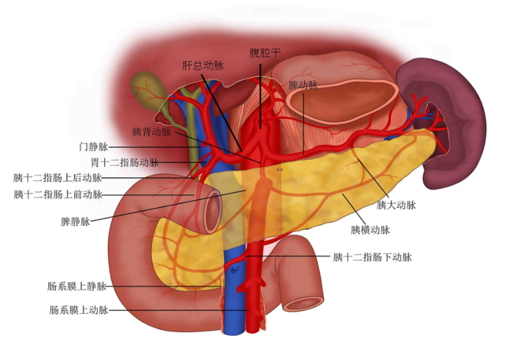 胰腺癌包绕血管之后是否可以放疗？