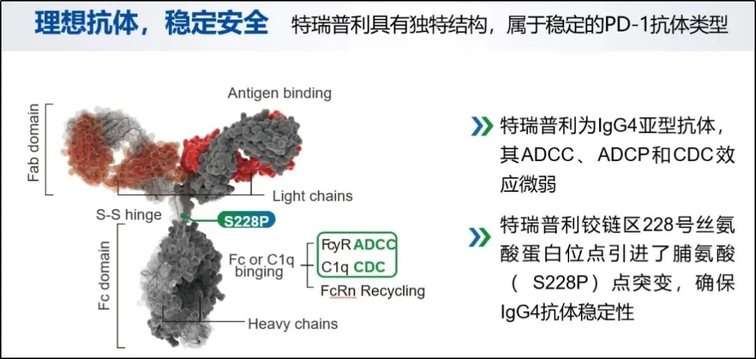 肾癌患者的福音！中国首个肾癌免疫疗法获批！