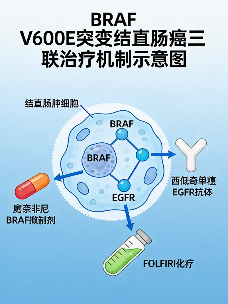 可愈有道_出国看病_BREAKWATER 试验突破：BRAF V600E 突变结直肠癌靶向三联疗法使无进展生存期翻倍