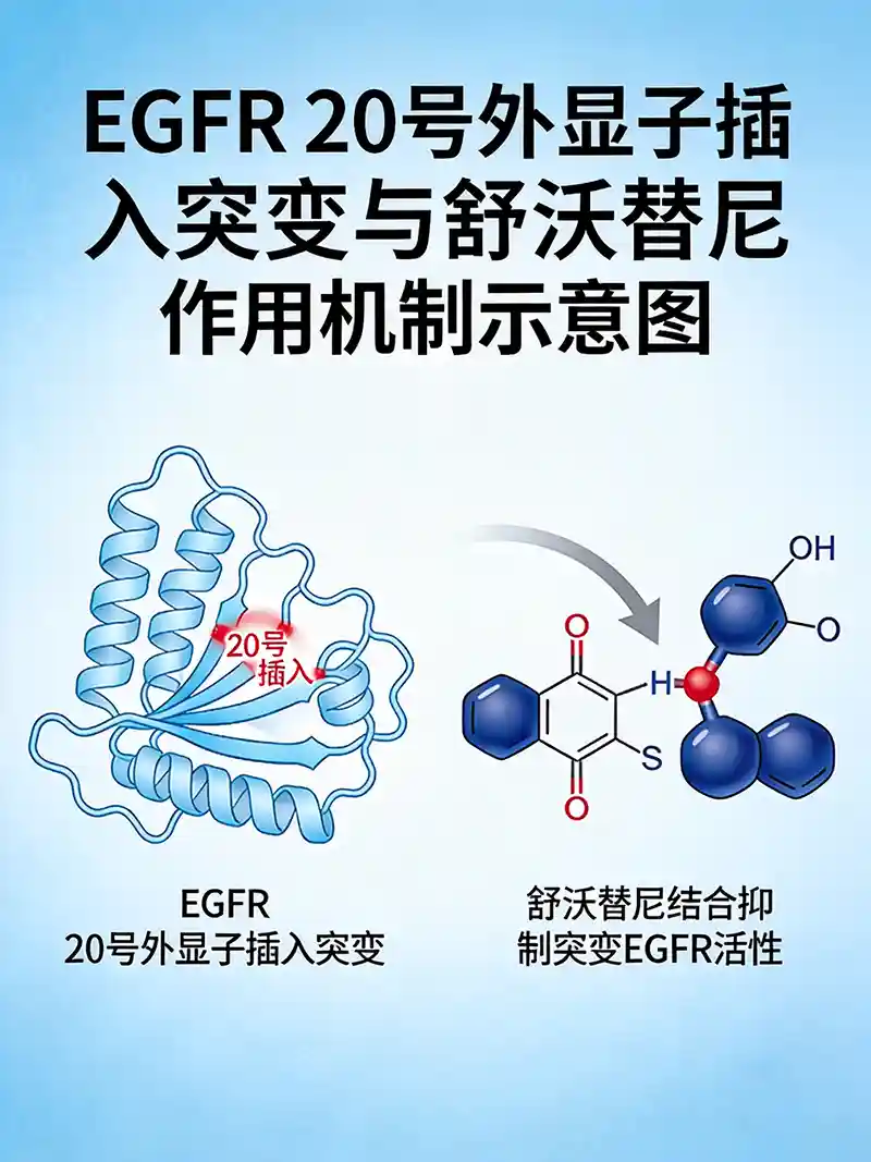 可愈有道_出国看病_舒沃替尼突破：EGFR 20号外显子插入突变肺癌靶向治疗优于化疗 | WU-KONG28试验